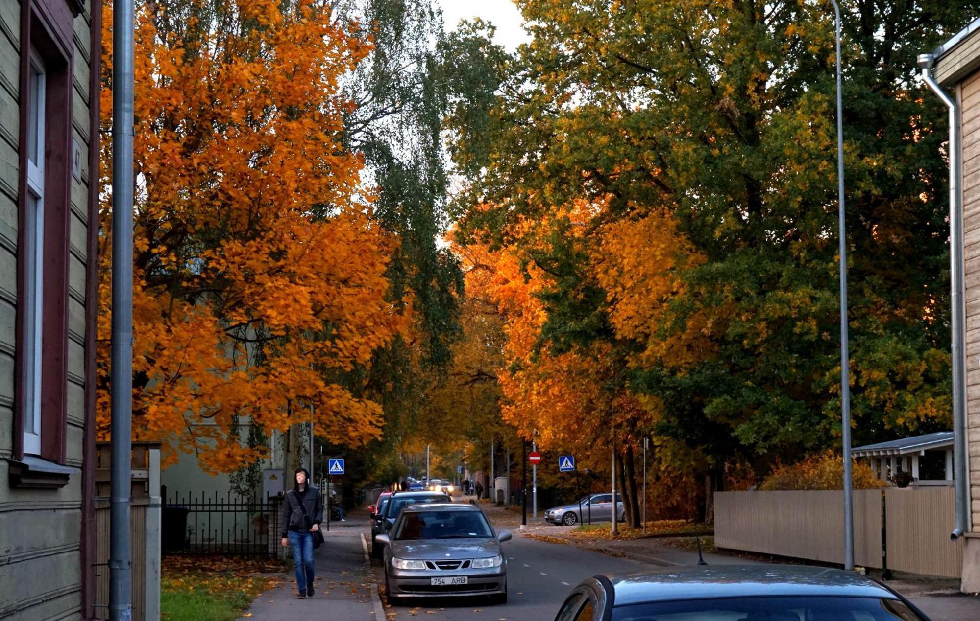Quiet Romantic Studio plus parking Tartu Extérieur photo